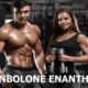 Trenbolone Enanthate: Benefits and Risks for Bodybuilding